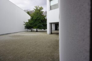 Minimalist outdoor scene with modern architecture and a lone tree in Porto, Portugal.